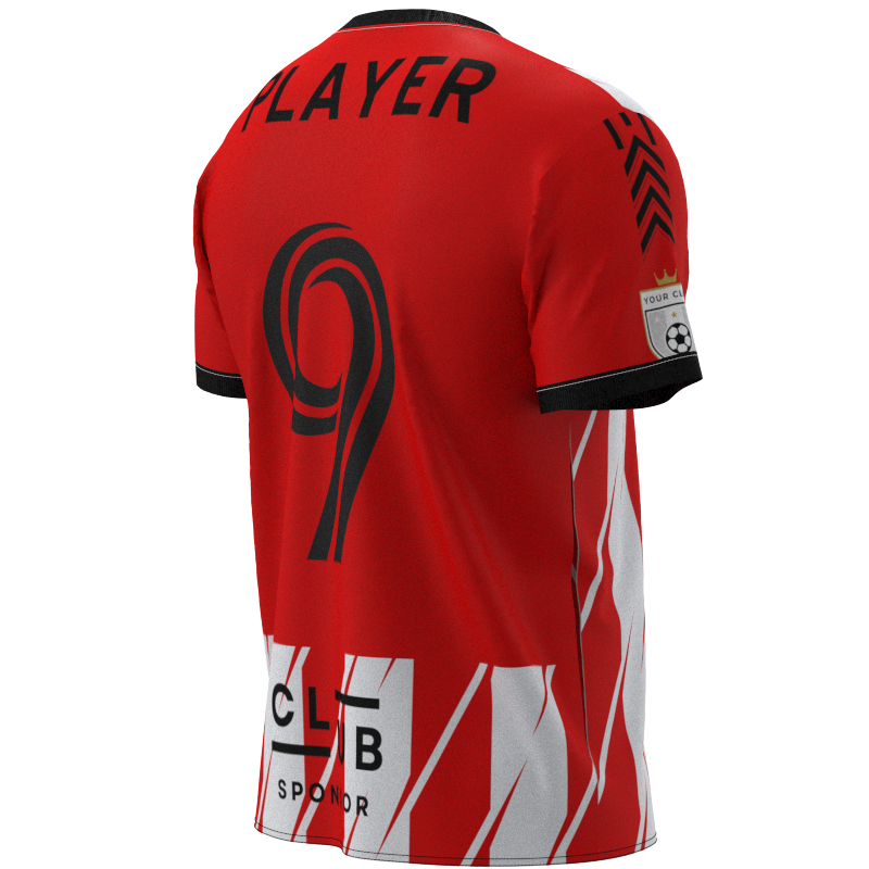 XATDMUCV-2017 - Image 3