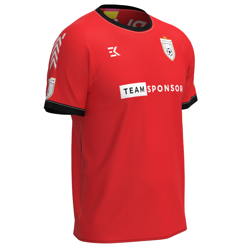 XBDGCV-2017 - Image 2