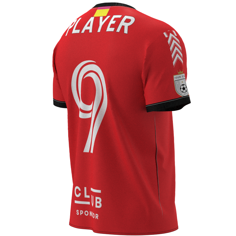 XBDGCV-2017 - Image 3