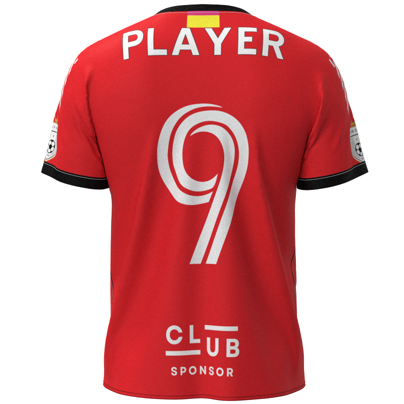 XBDGCV-2017 - Image 4