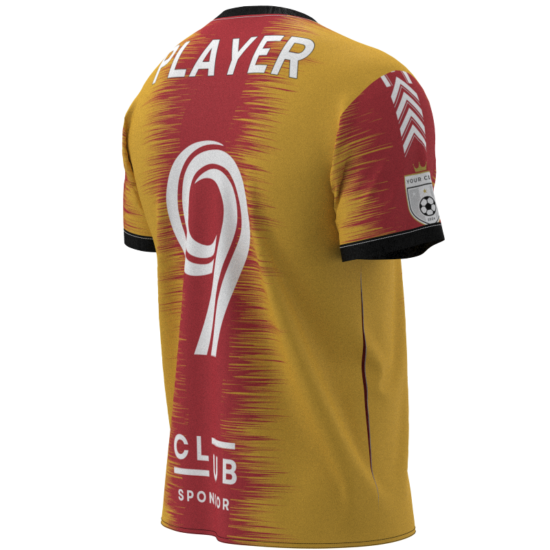 XESDCV-2021 - Image 3