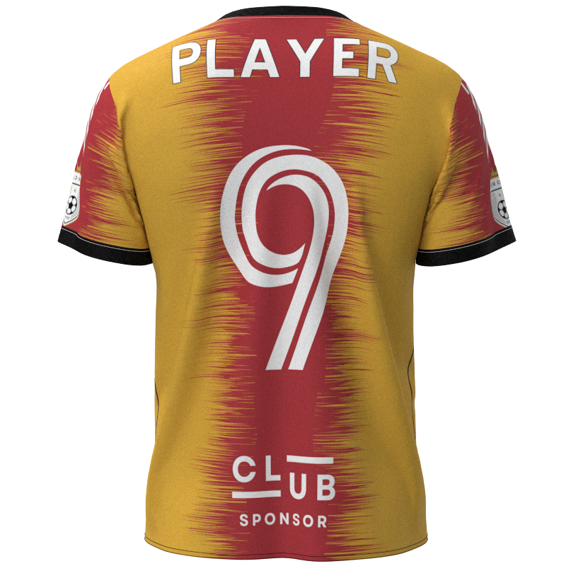 XESDCV-2021 - Image 4