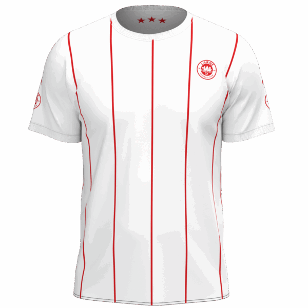 Larne FC White Kit Design