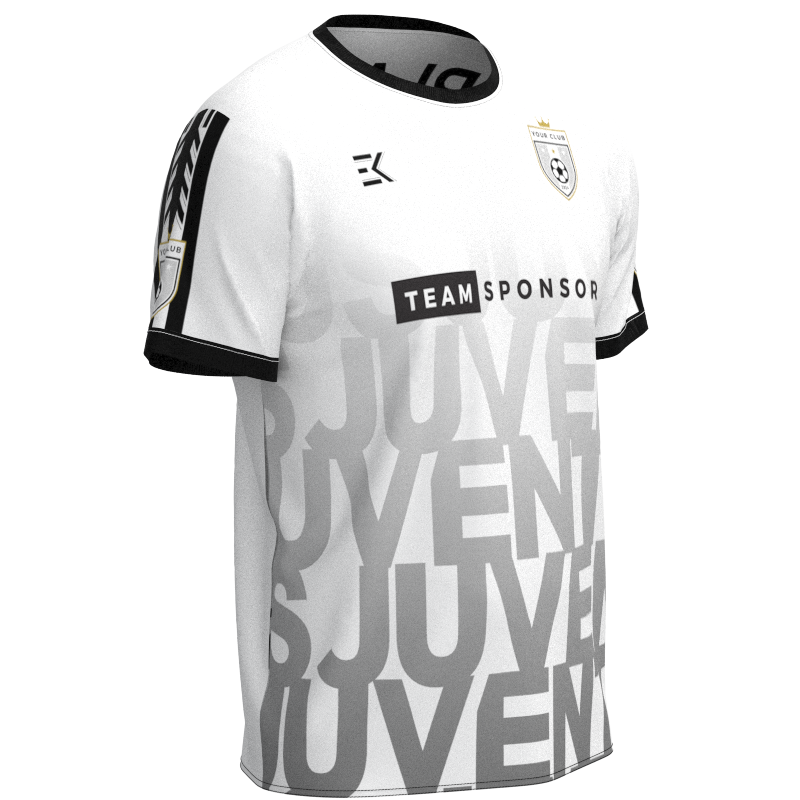 XJPJCV-2016 - Image 2