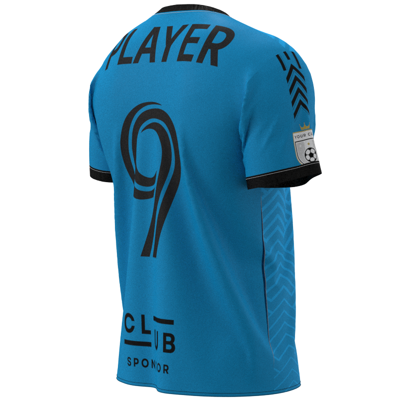 XZUCV-2015 - Image 3